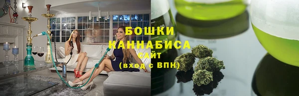 ПСИЛОЦИБИНОВЫЕ ГРИБЫ Вяземский