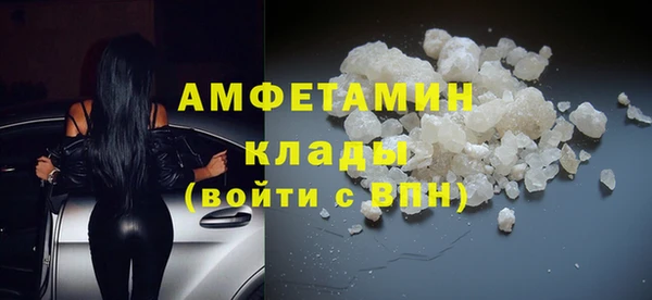 ПСИЛОЦИБИНОВЫЕ ГРИБЫ Вяземский