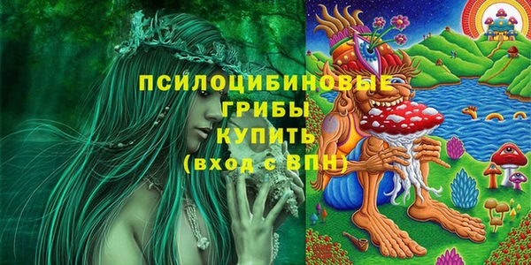 СК Горно-Алтайск