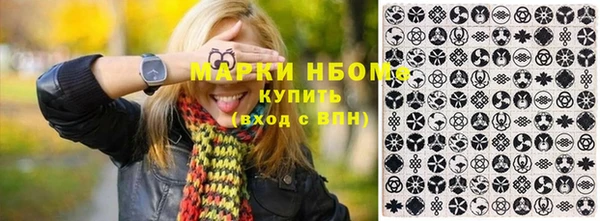 гидра Горняк