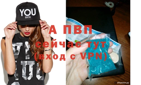 ПСИЛОЦИБИНОВЫЕ ГРИБЫ Вяземский