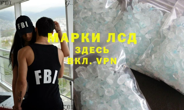 гидра Горняк